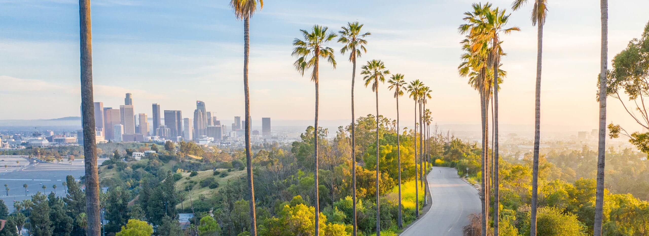 Street in Southern California surrounded by palm trees