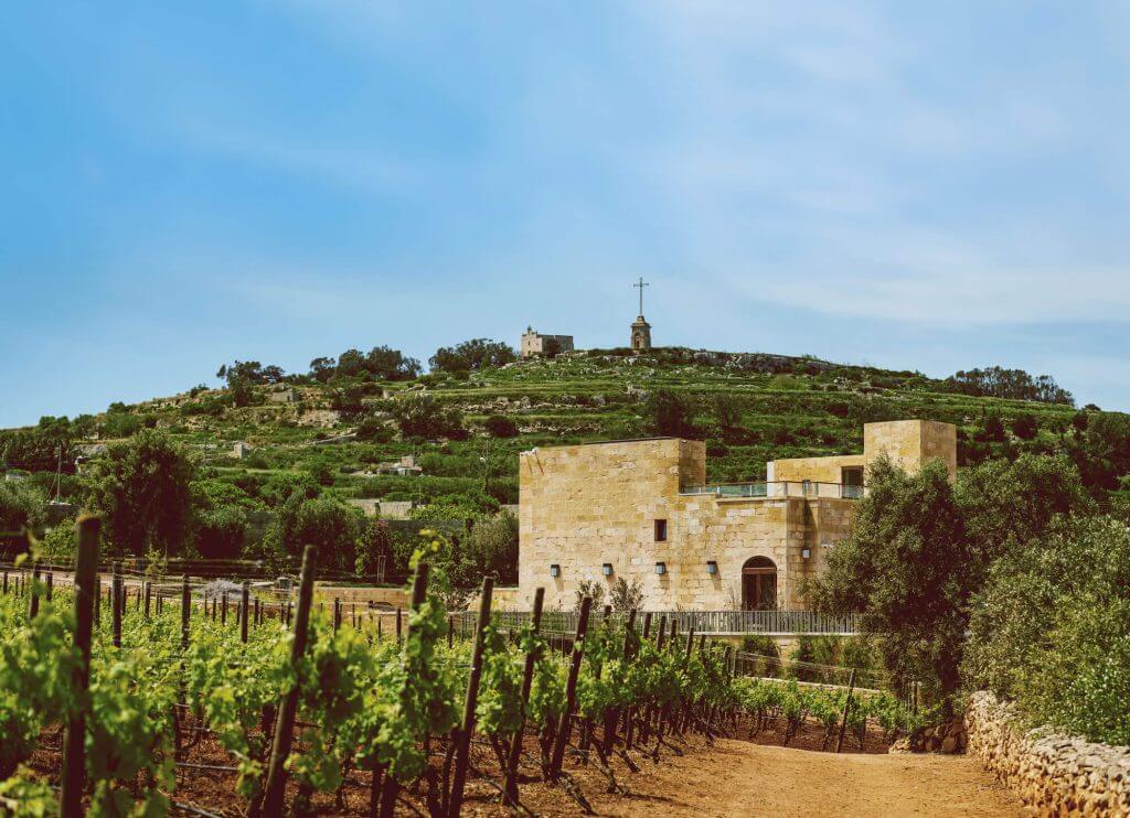 discover Malta: Ta'Betta Wine Estate in Malta