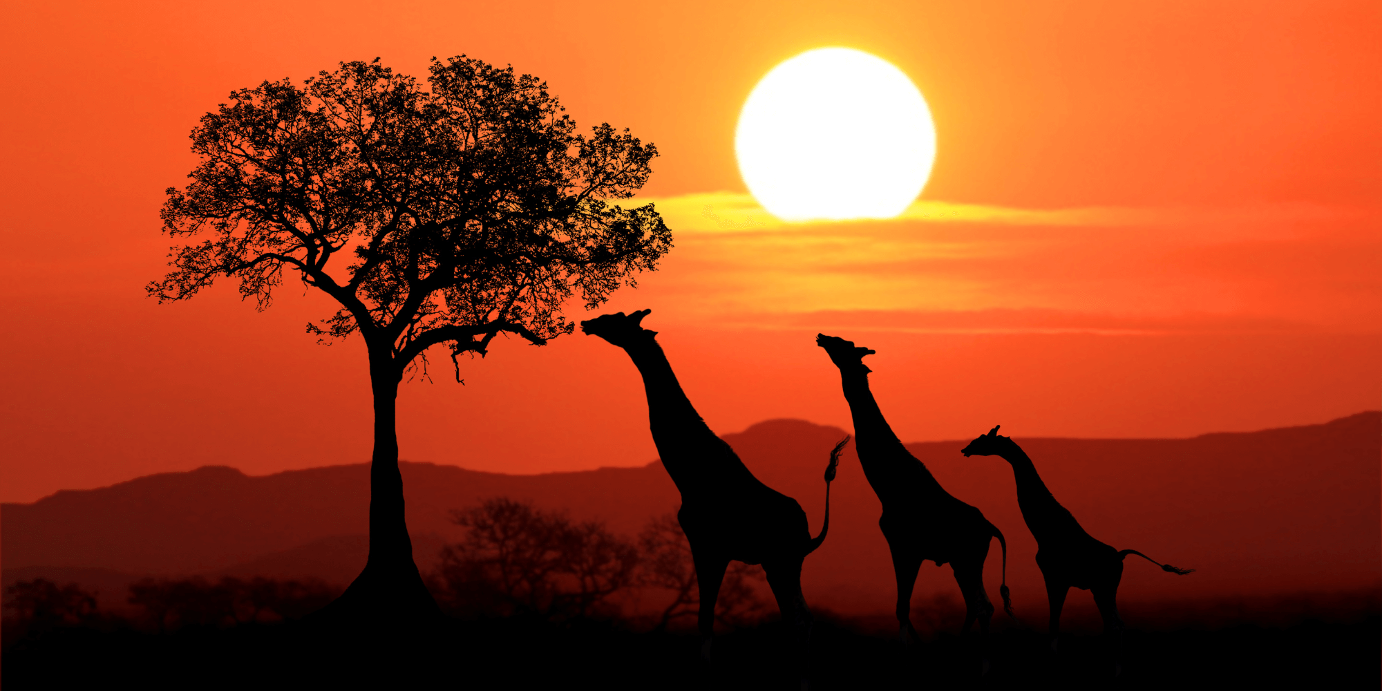 South Africa sunset