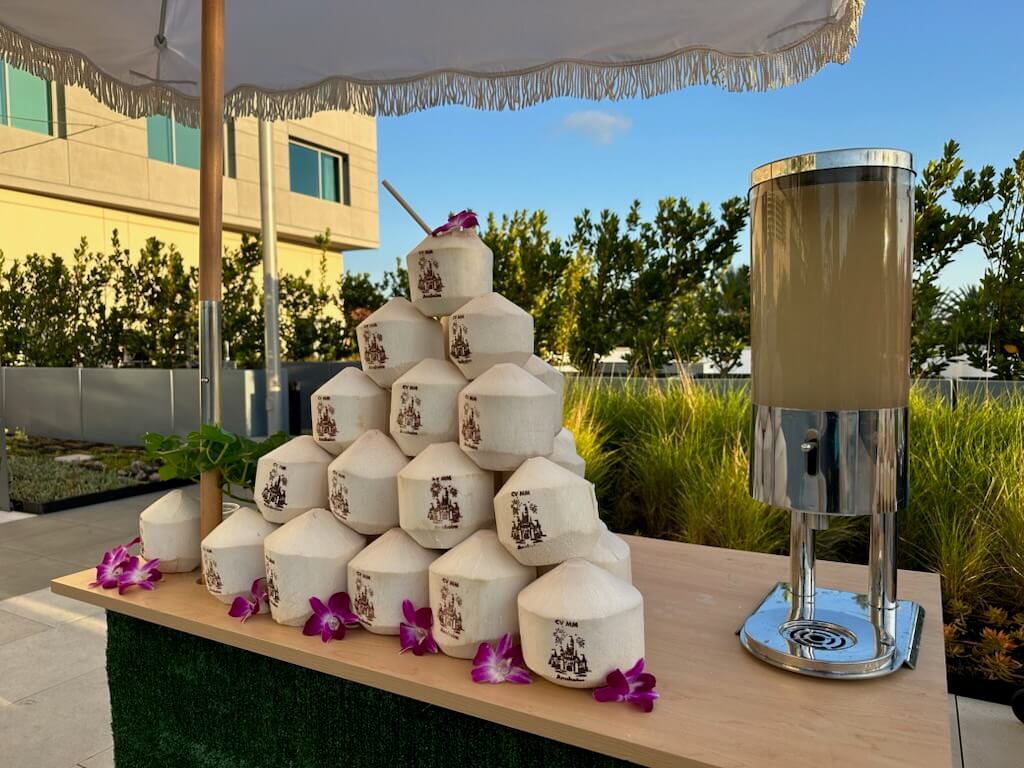 Refreshing coconuts for a beverage break provide a unique and alcohol-free option for guests