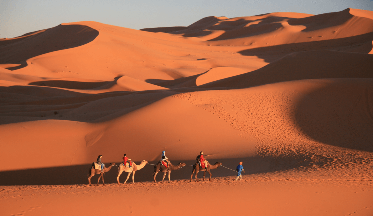 Camel Riding Experience in the desert in Morocco