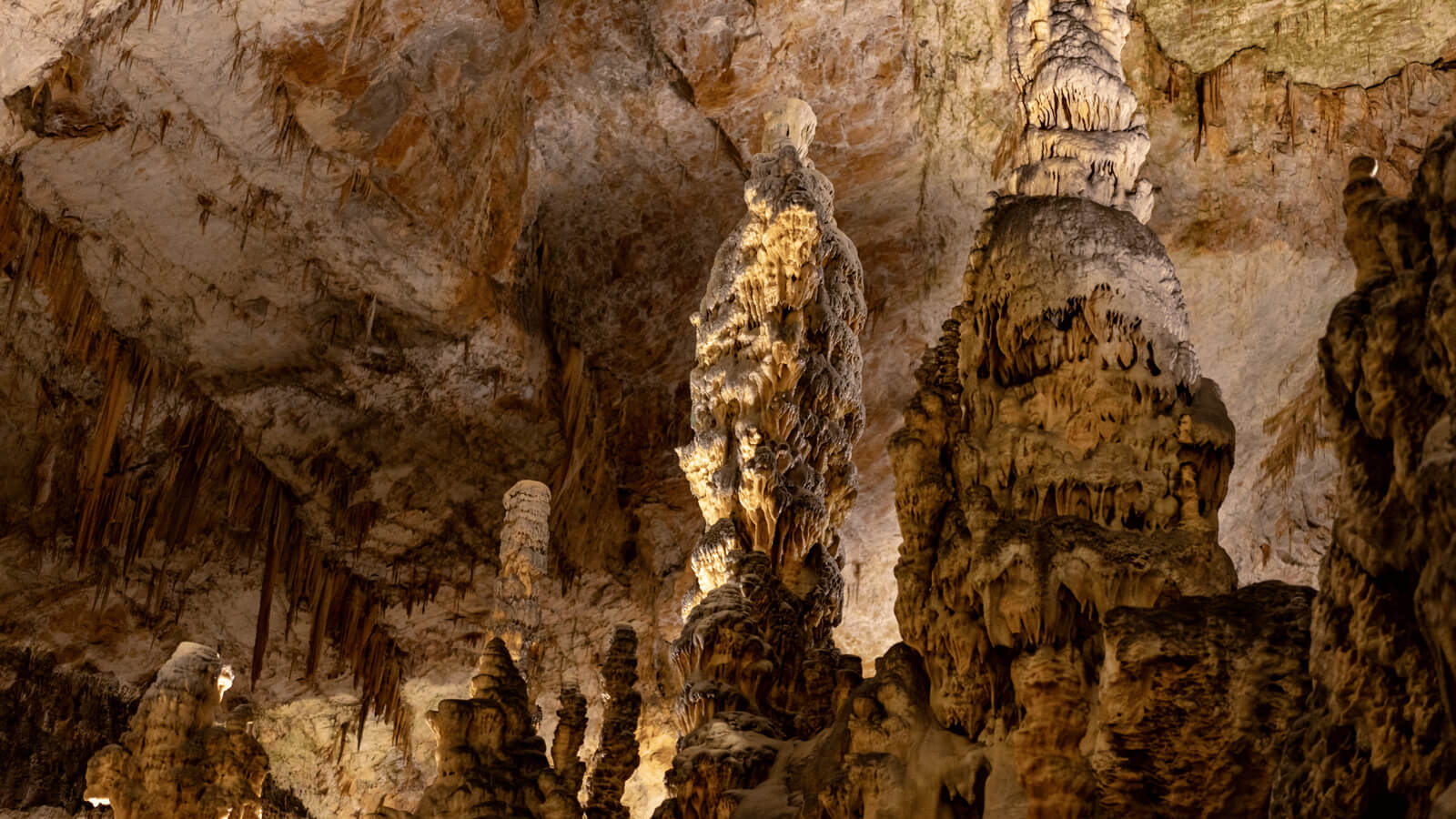 Hosts Global | Discover Slovenia Postojna Caves
