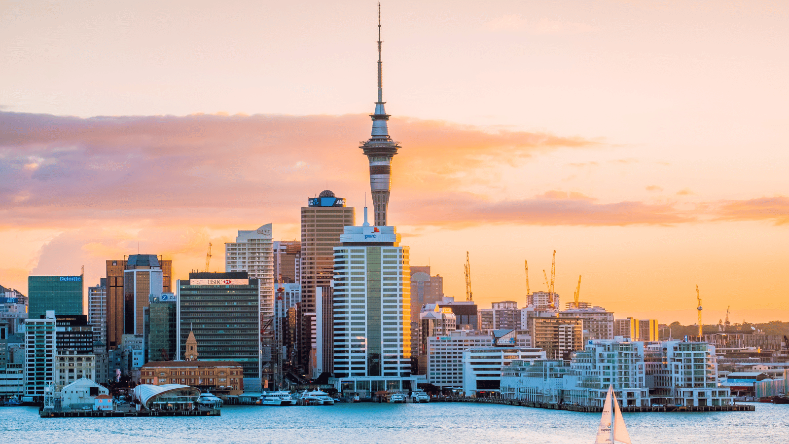 Hosts Global | Discover Auckland, New Zealand