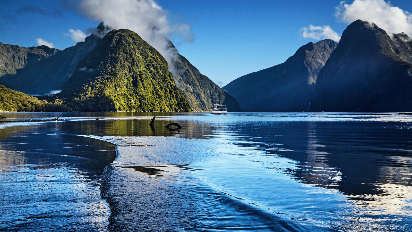 Hosts Global | Discover Milford Sound New Zealand