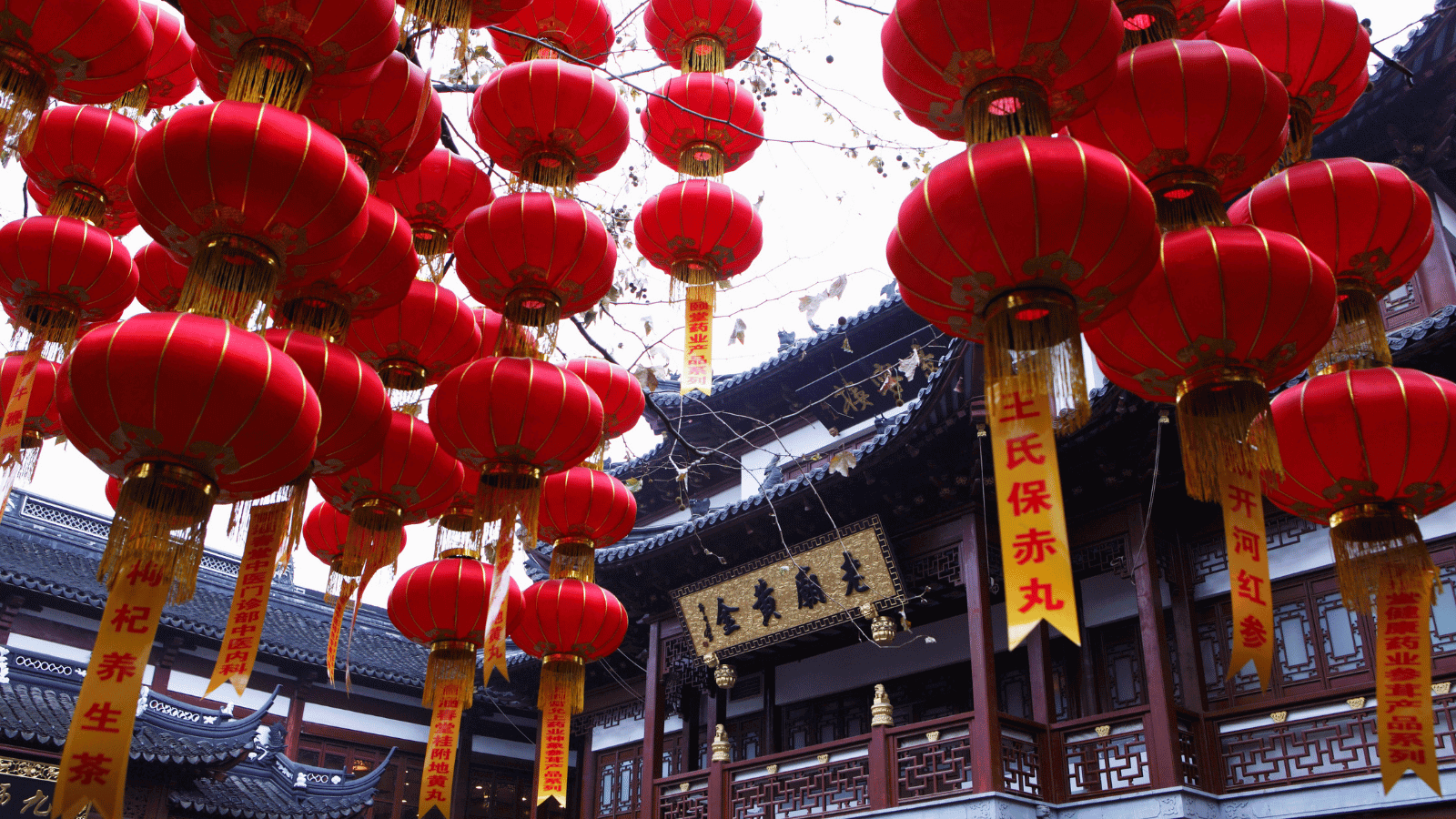 Hosts Global | Discover Chinese Traditions