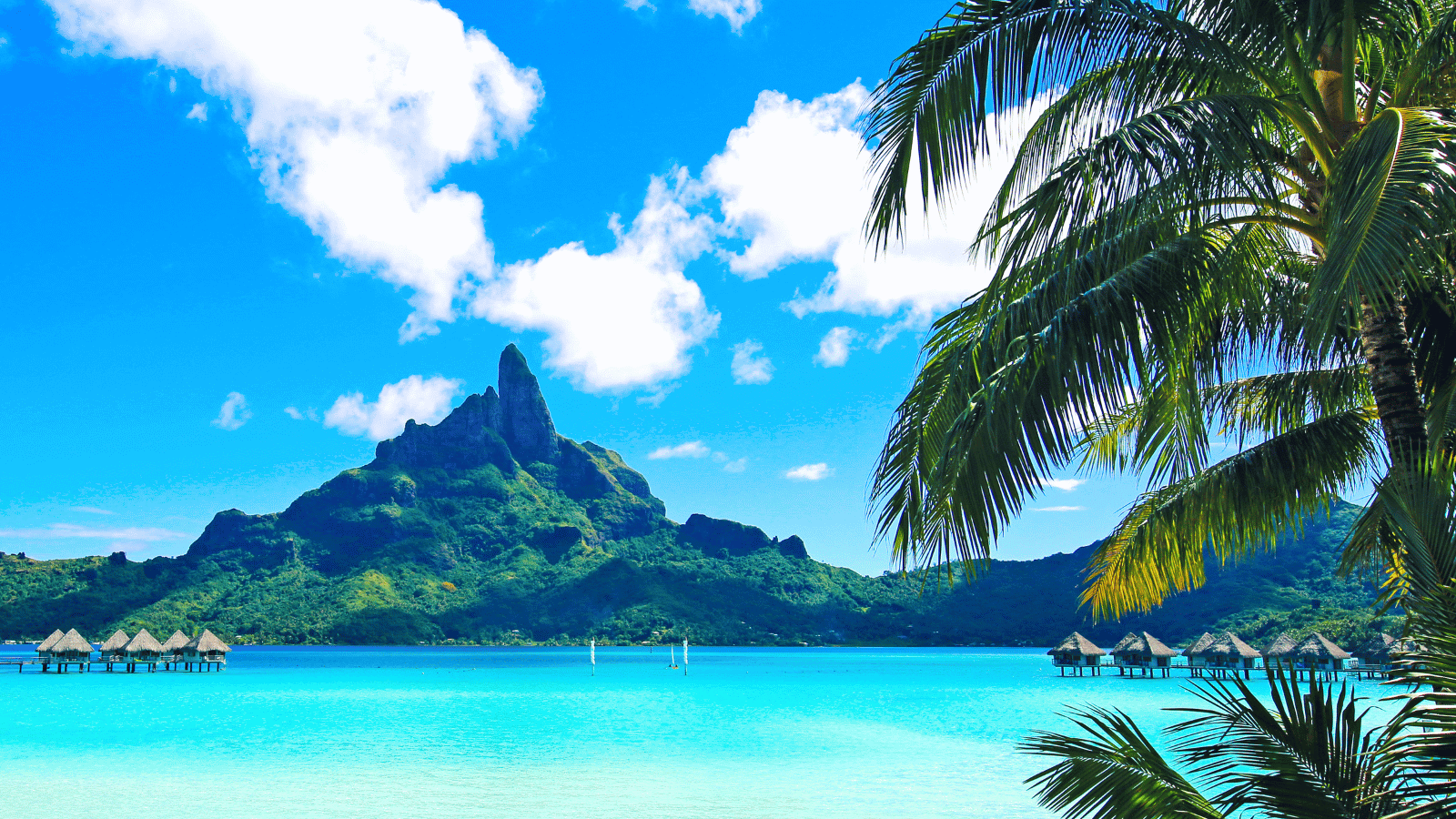 Hosts Global | Discover Tahiti 
