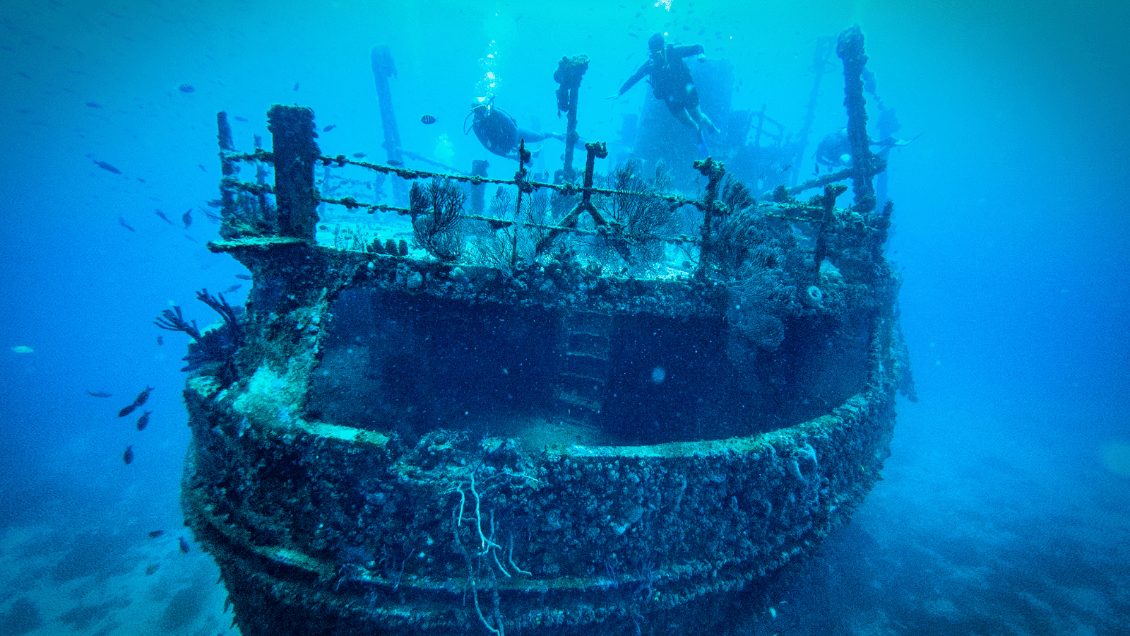 Hosts Global | shipwreck diving in Aruba 