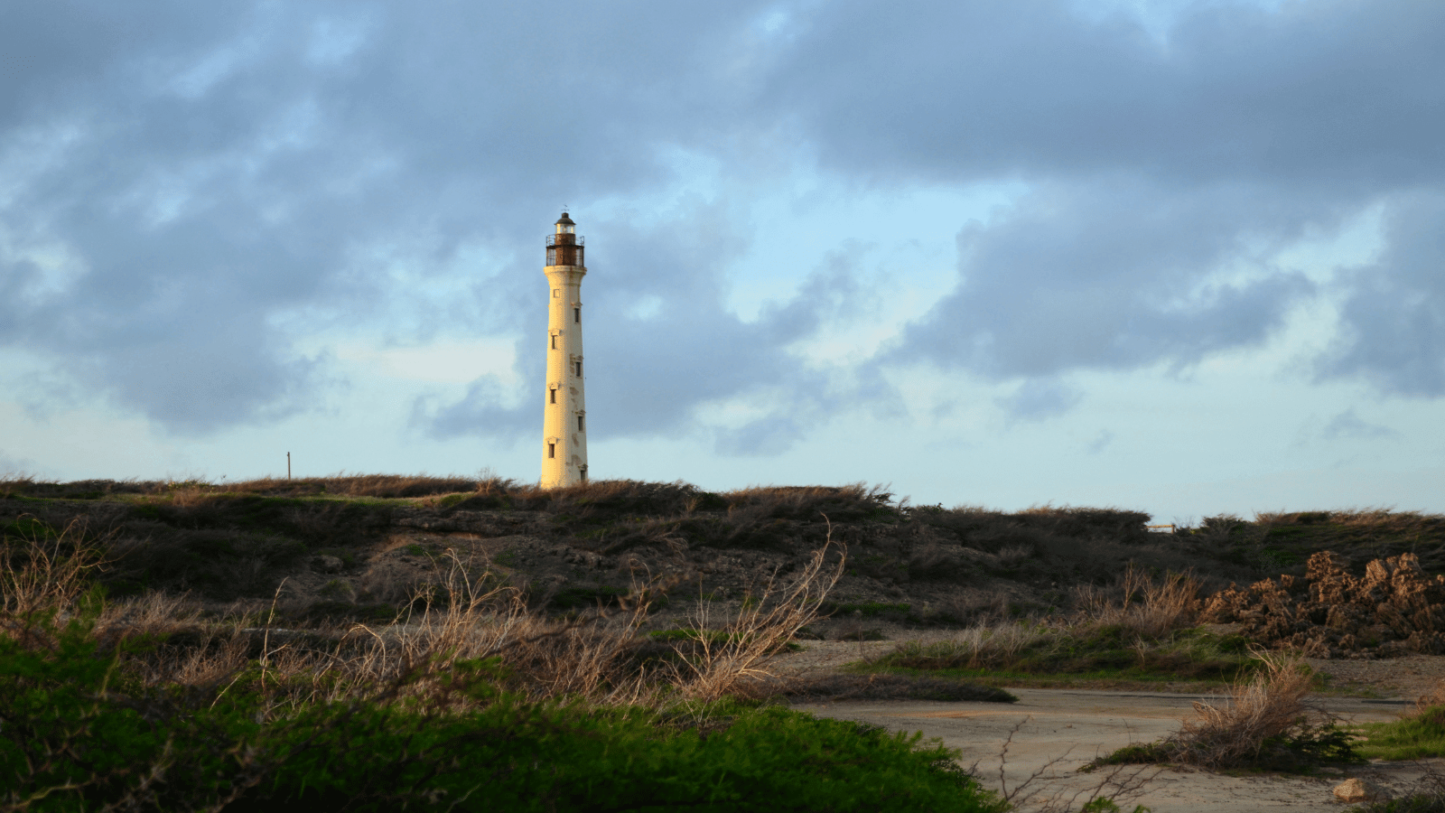 Hosts Global | California Lighthouse Aruba