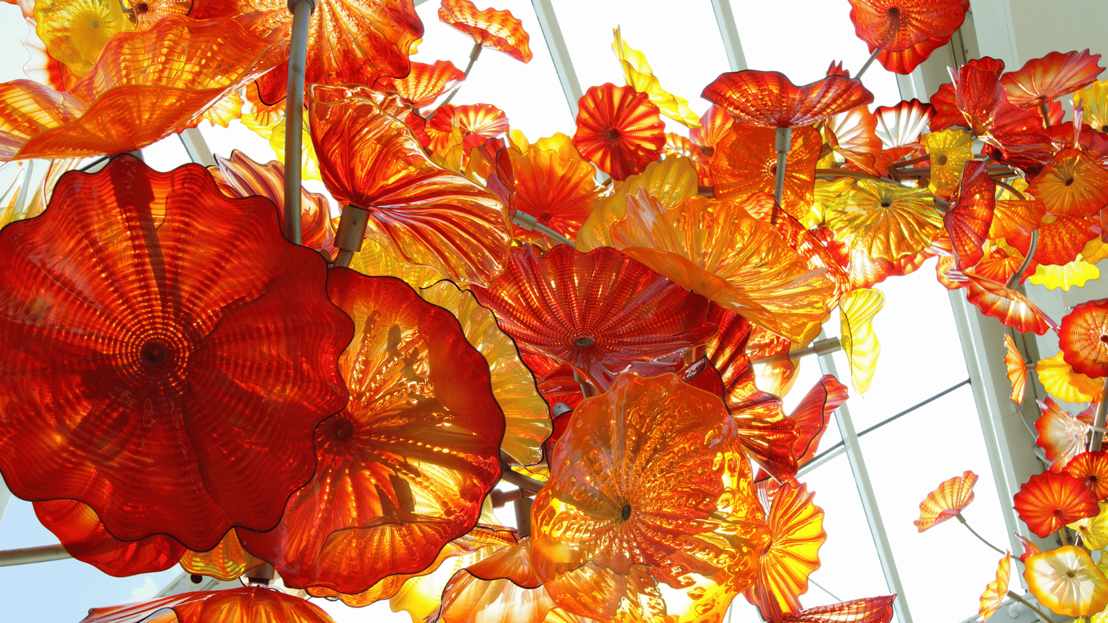 Hosts Global | Seattle Chihuly Glass Garden