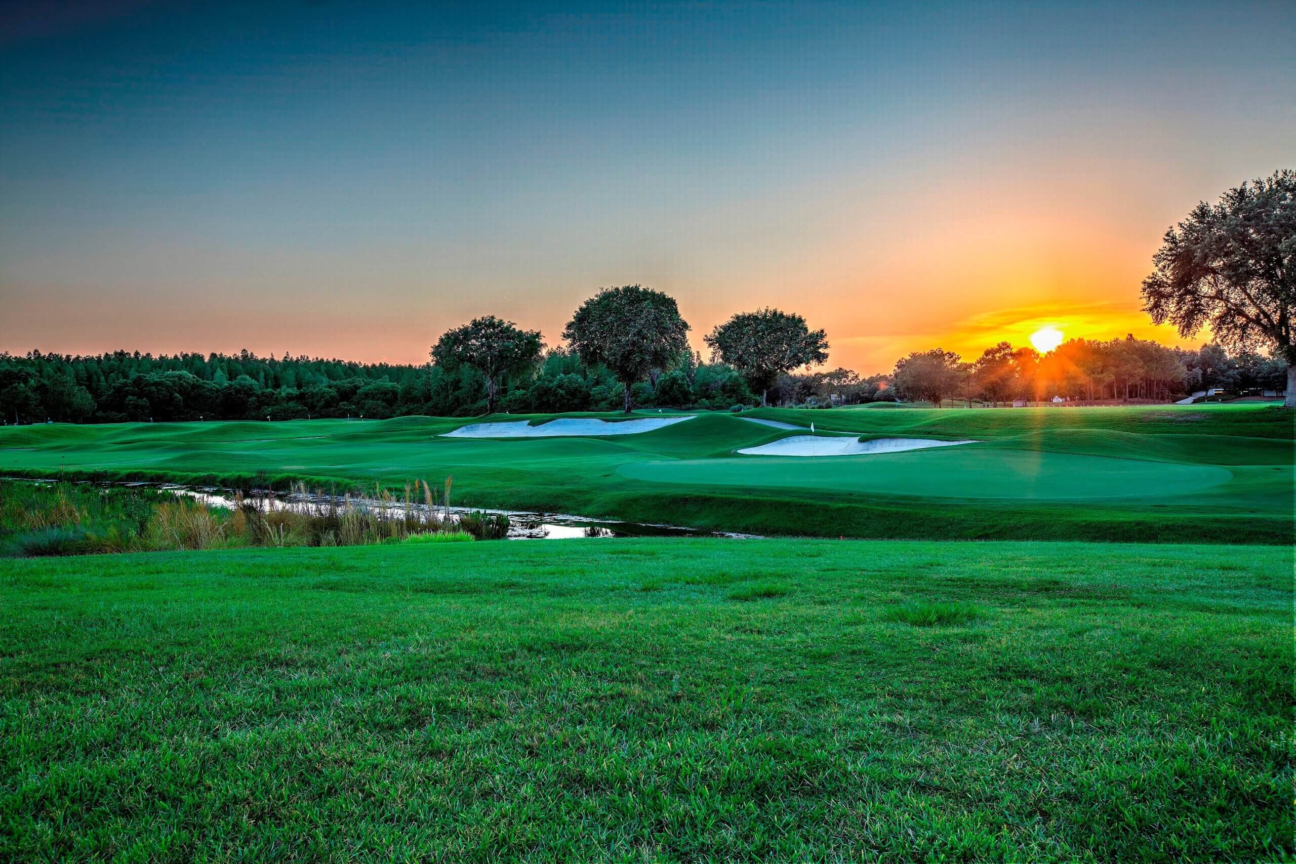Hosts Global | Tampa Bay Golfing