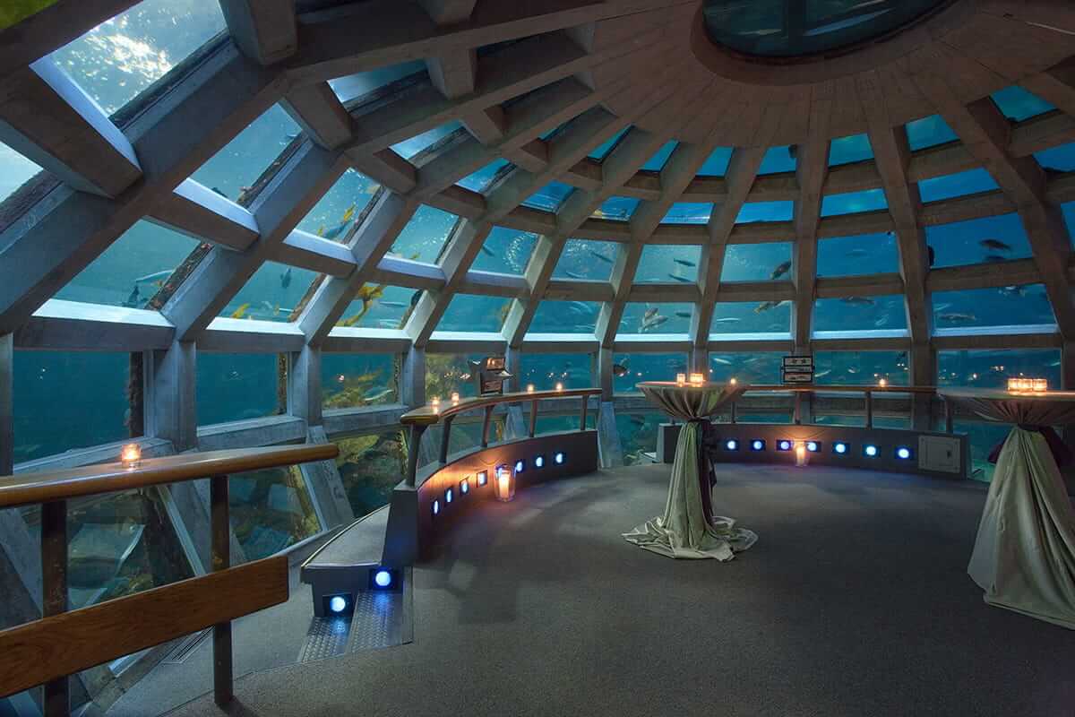 Hosts Global | Seattle Aquarium