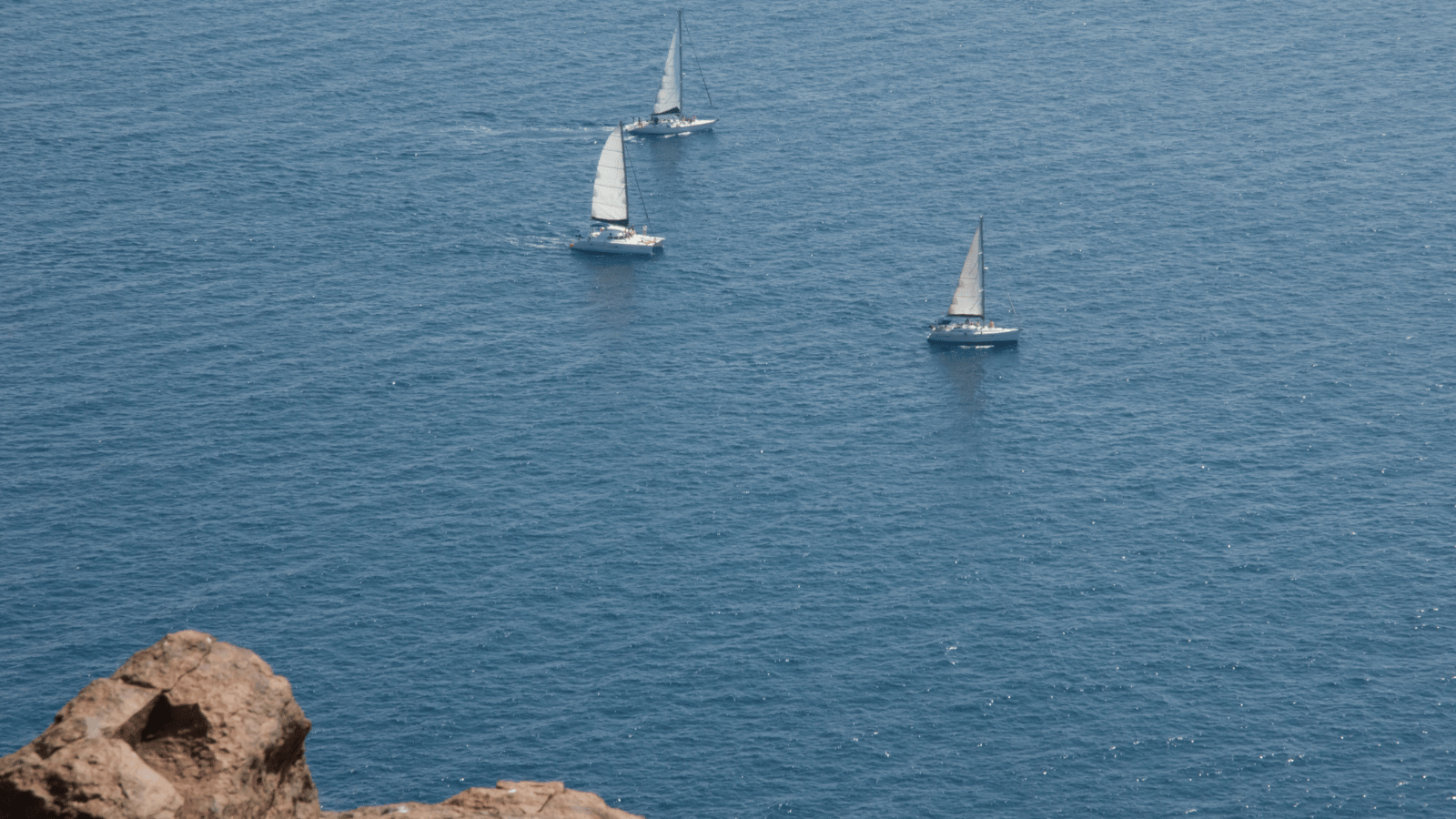 Hosts Global | sailing regatta along the coast of Barcelona