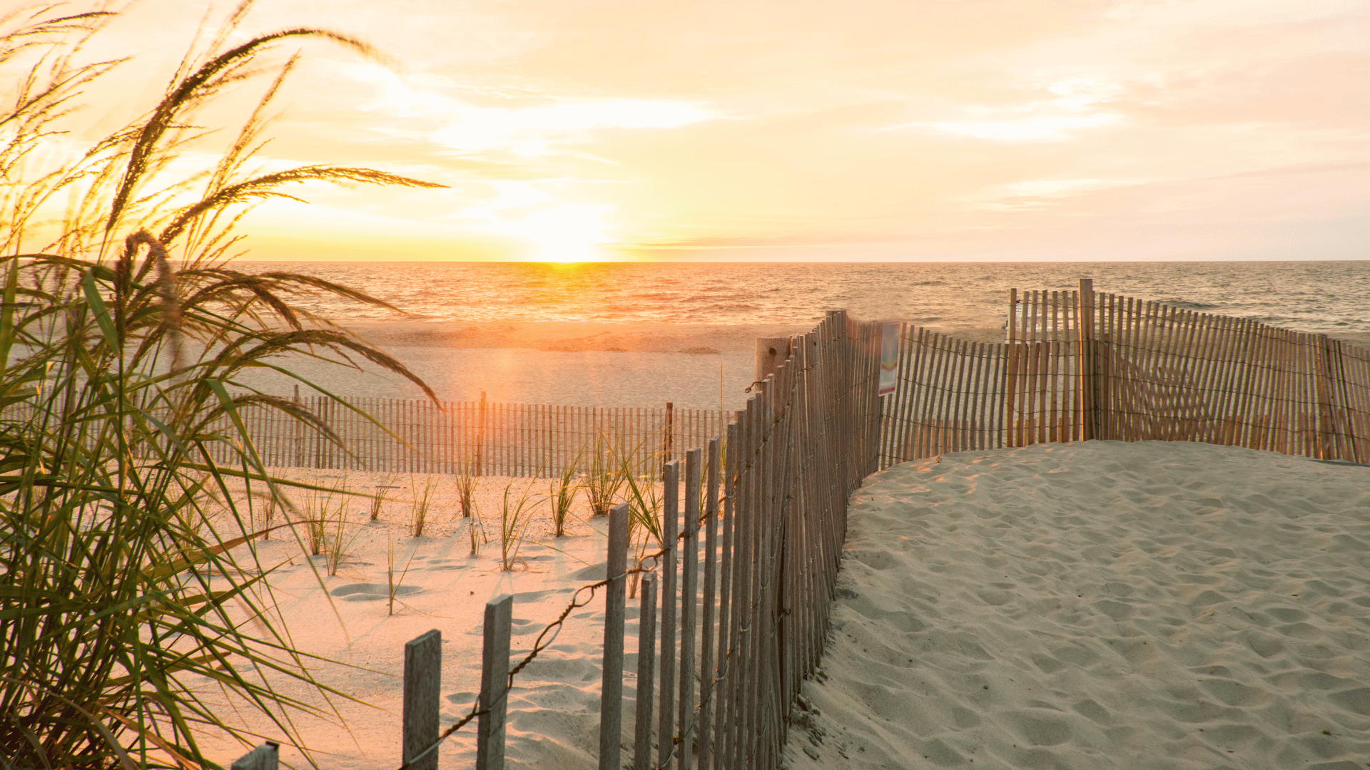 Hosts Global | Scenic Beach in Delaware at sunset