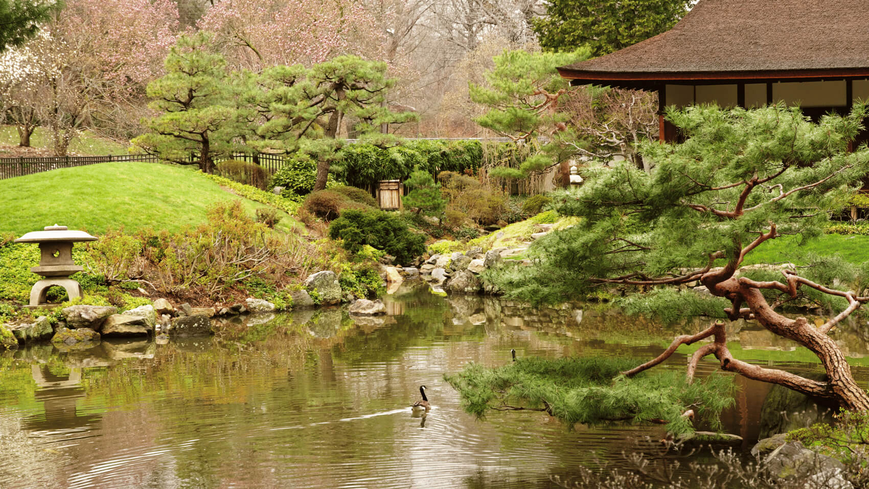 Hosts Global | Japanese Garden in Green spaces in Philly 