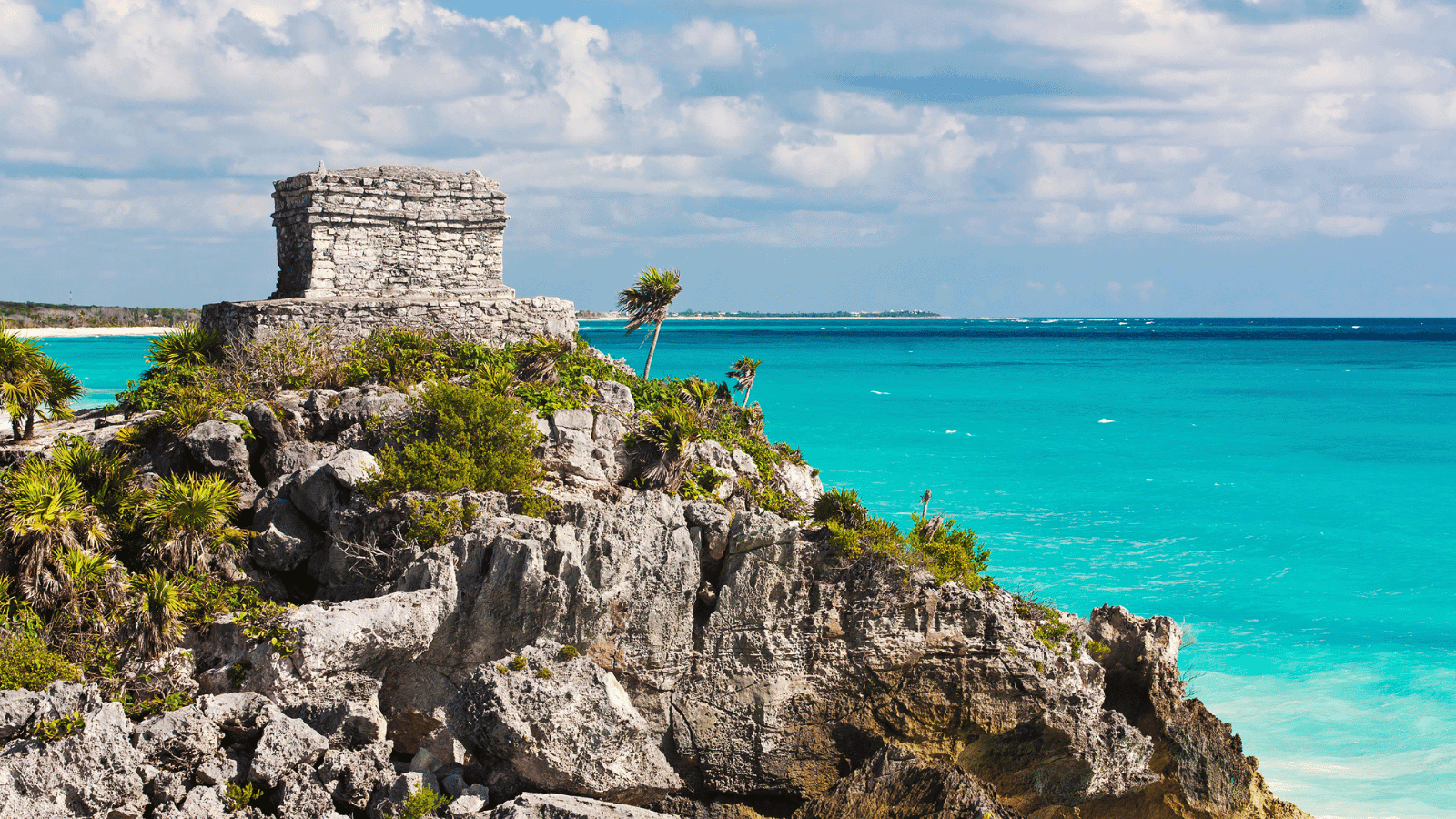 Hosts Global | Tulum, Mexico