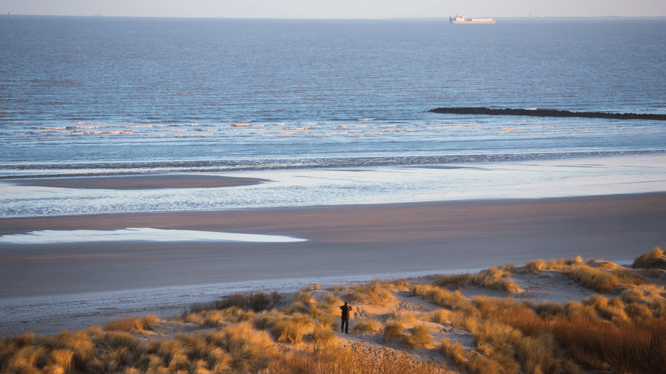 Hosts Global | Belgium Coast