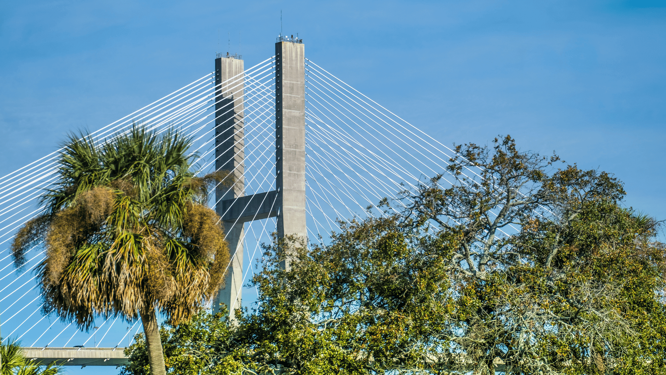 a bridge with trees and blue sky