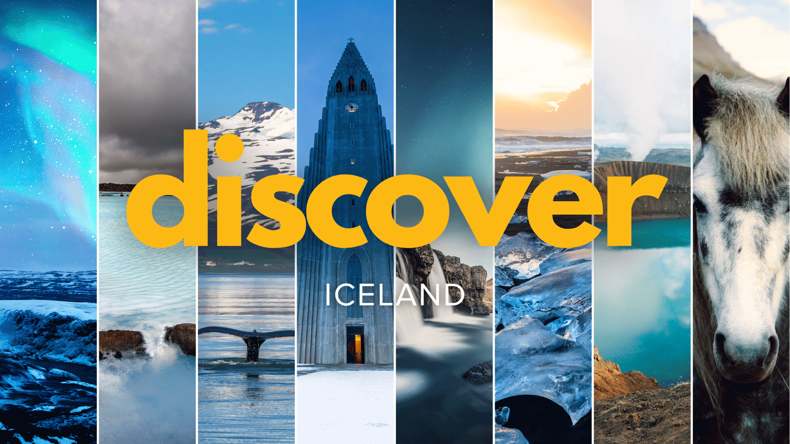 Hosts Global | Discover Iceland