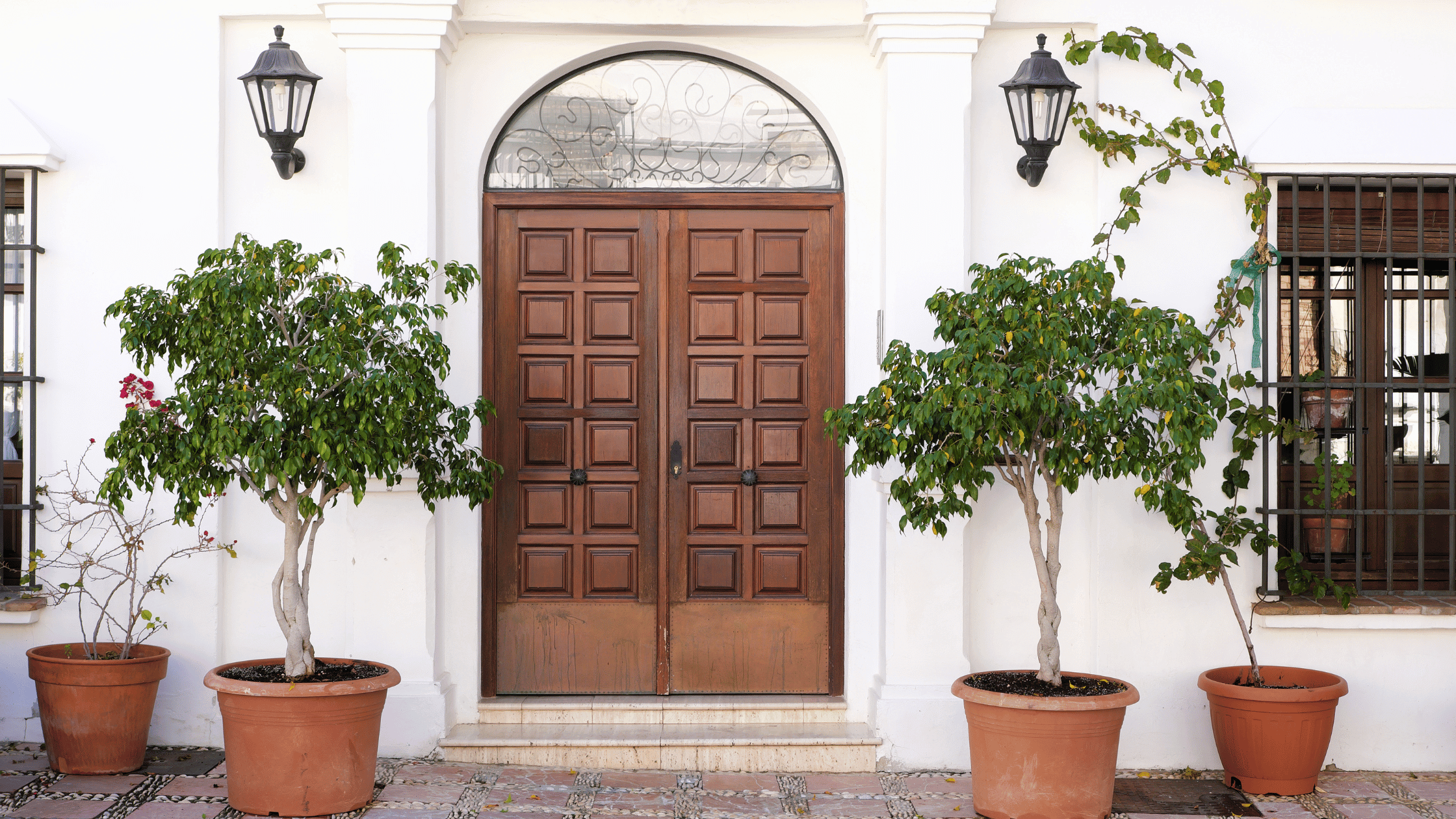 a door with two potted trees