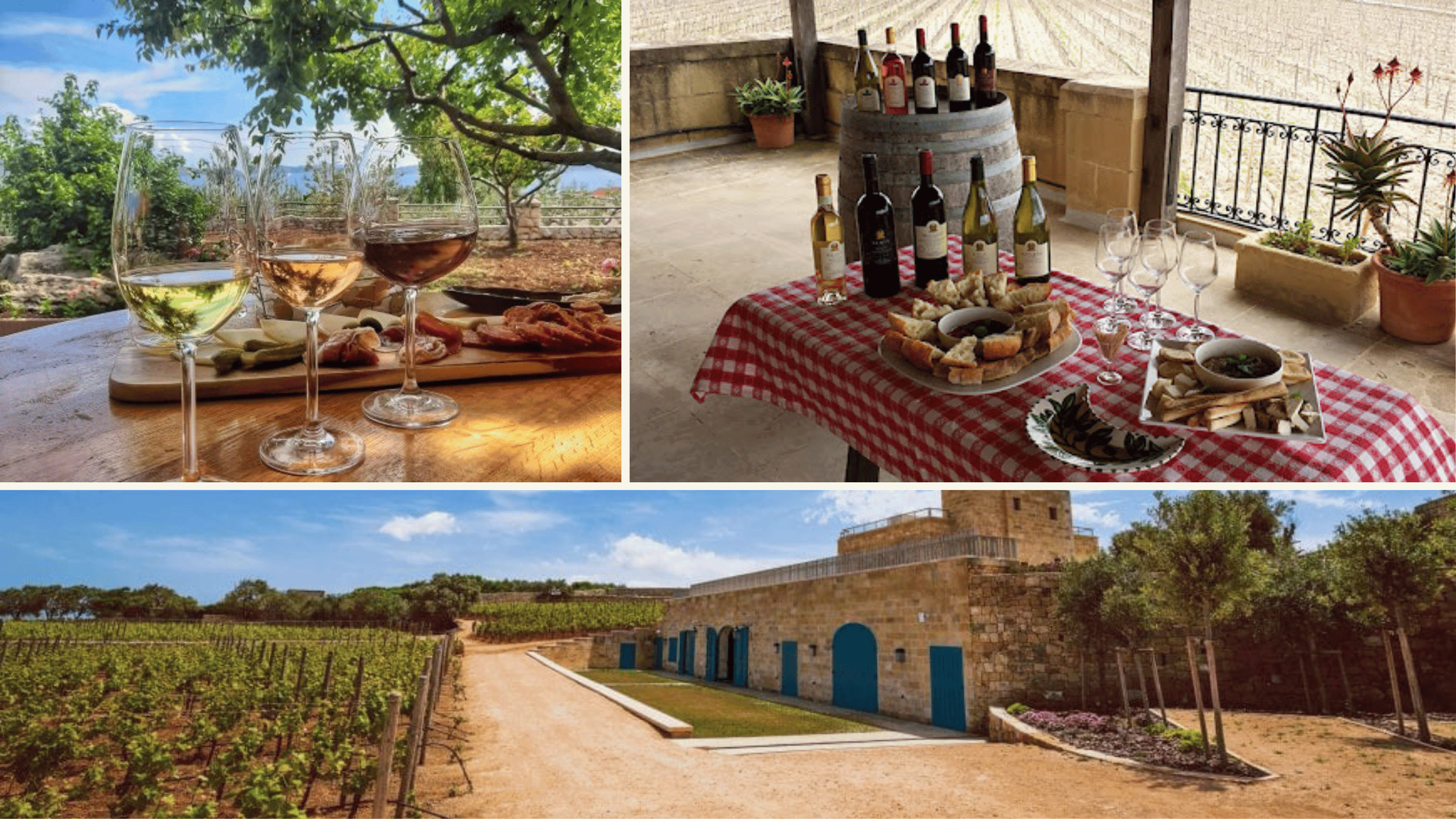 Wine Experience in Malta, Wine Tasting with lite bites that are curated for each wine, and the vineyard