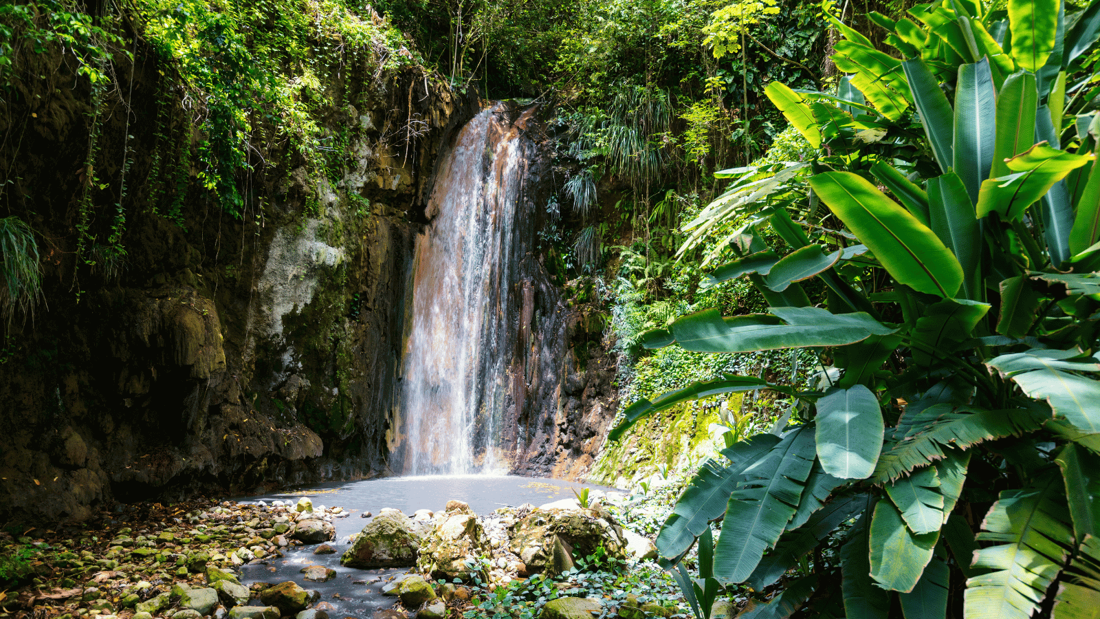 rainforest in St. Lucia with waterfall