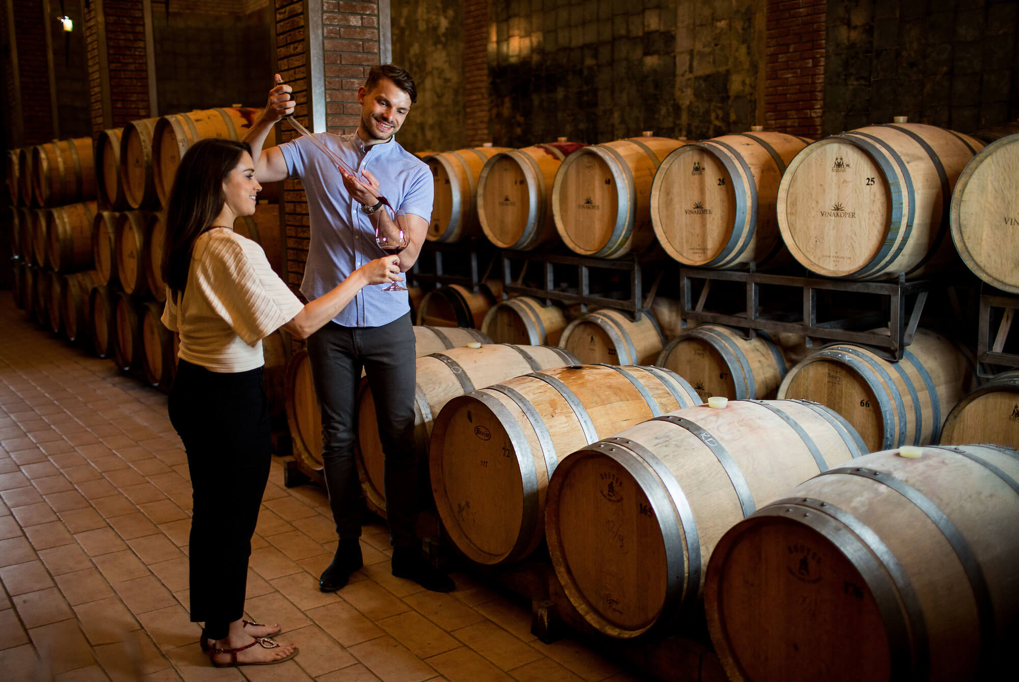 Wine Cellar Tour in Slovenia