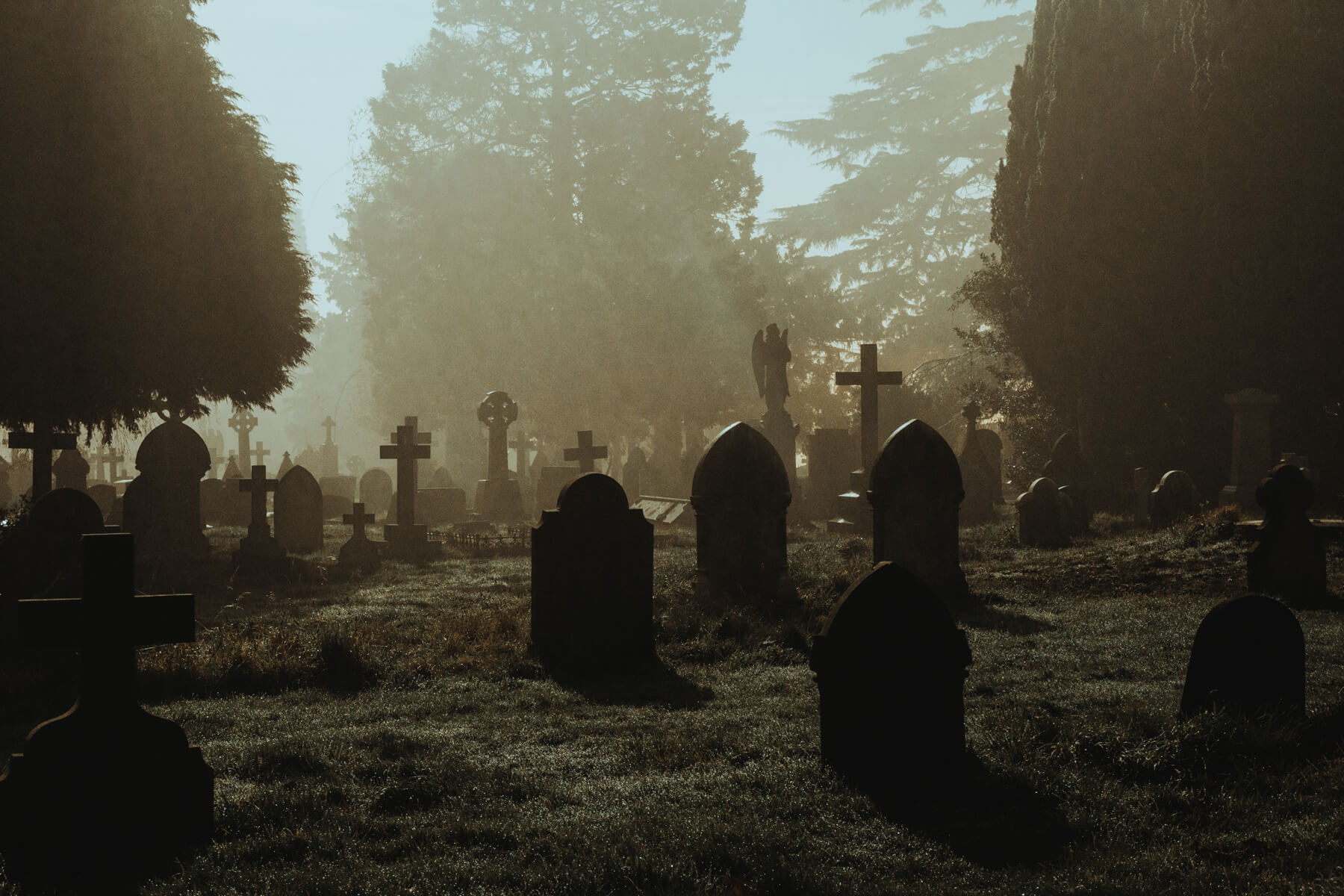 Spooky Chicago Graceland cemetery at dusk