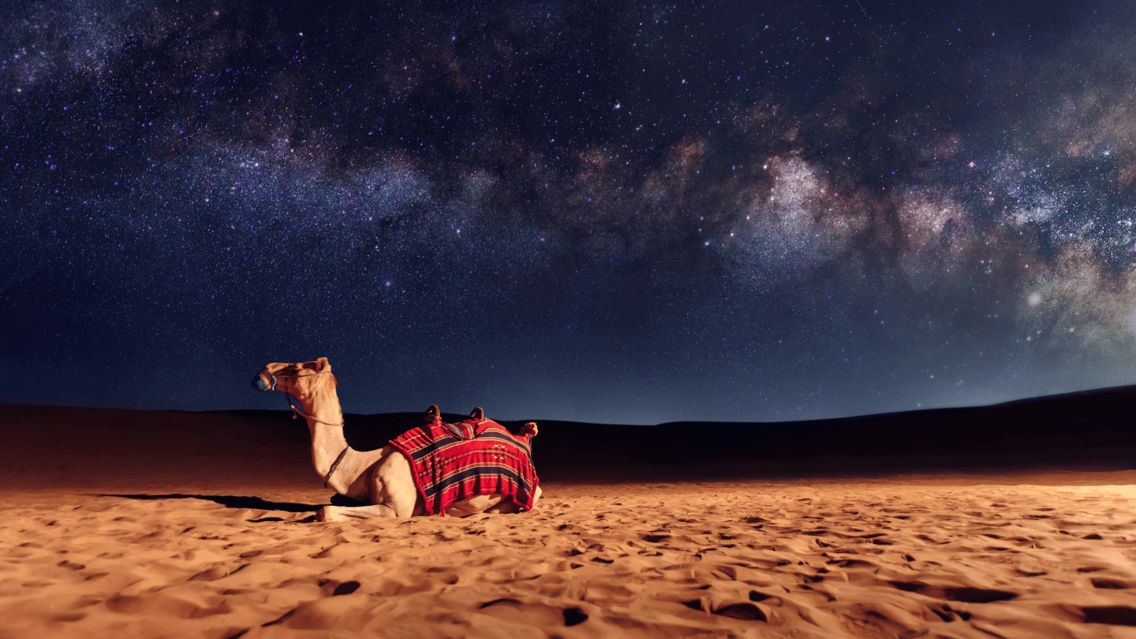 Bedouin-Style Dinners Under the Stars 