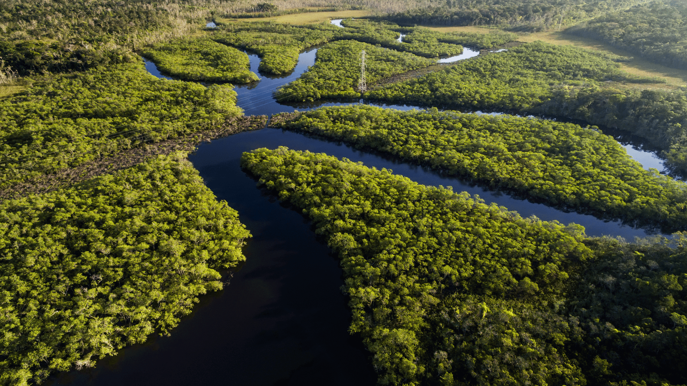 Brazil Rainforest aerial view with river and waterways flowing through