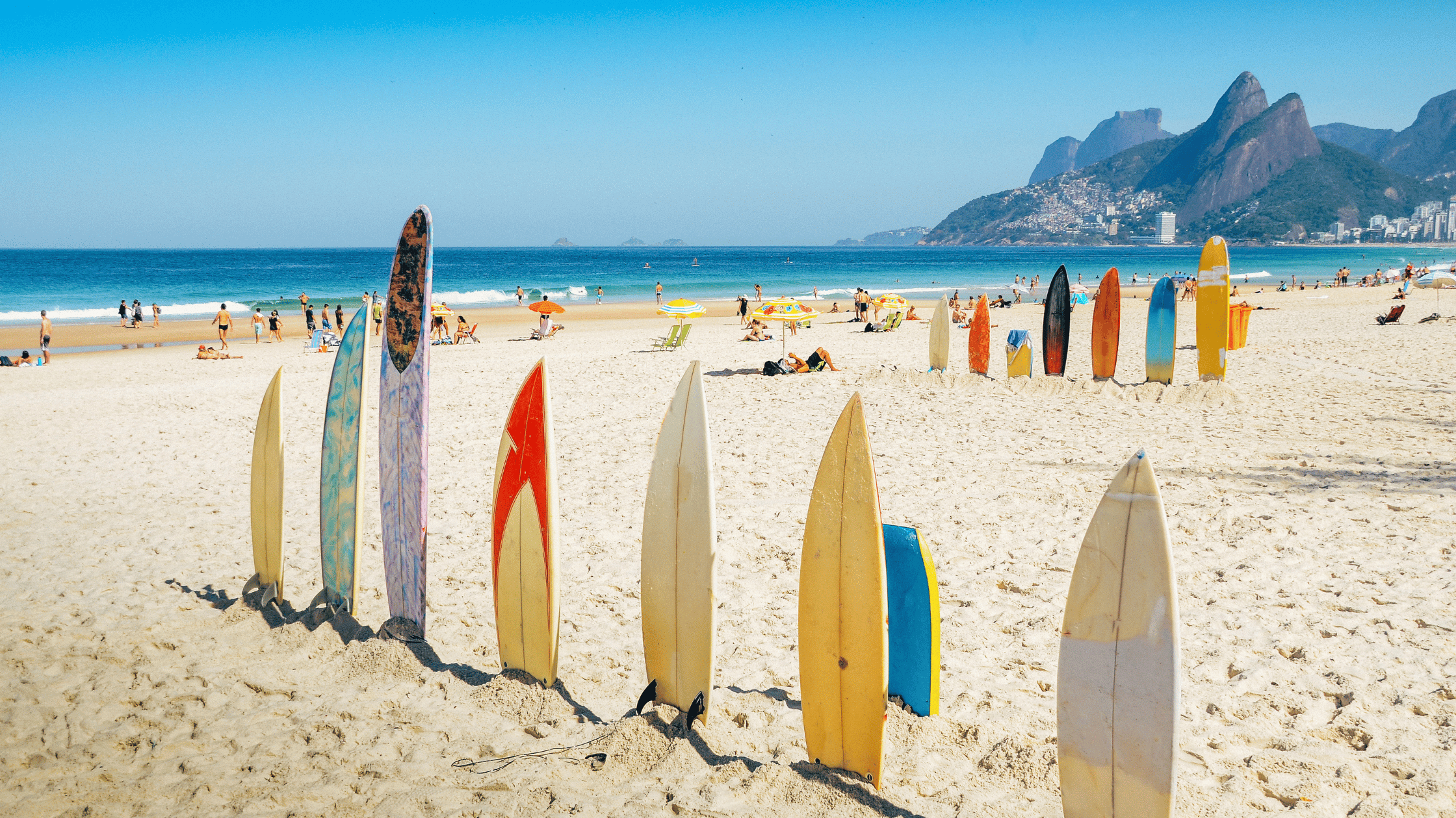 Surf boards in sand on beach in Brazil