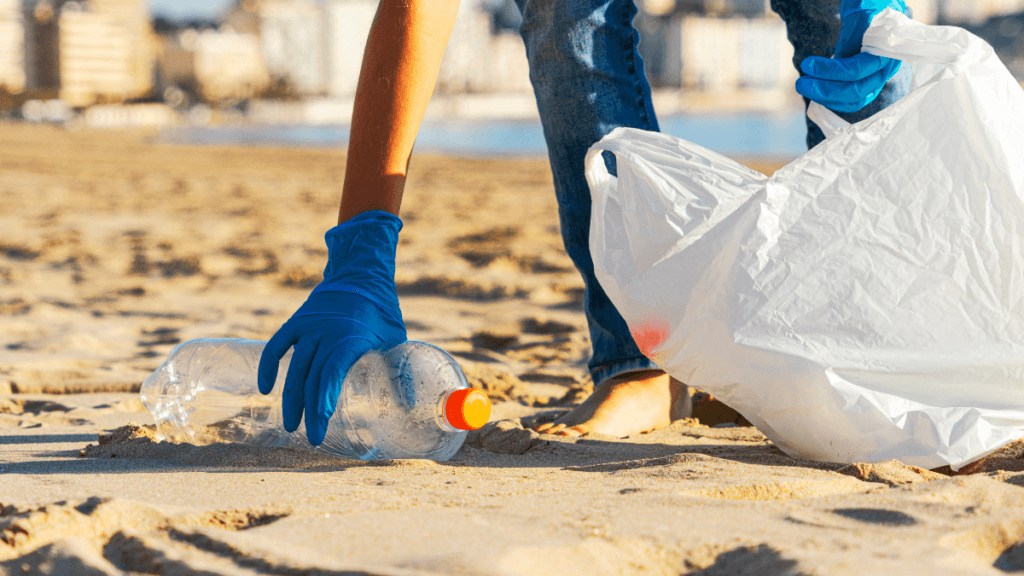 Beach Clean Up, San Diego _ Hosts Southern California, Hosts Global