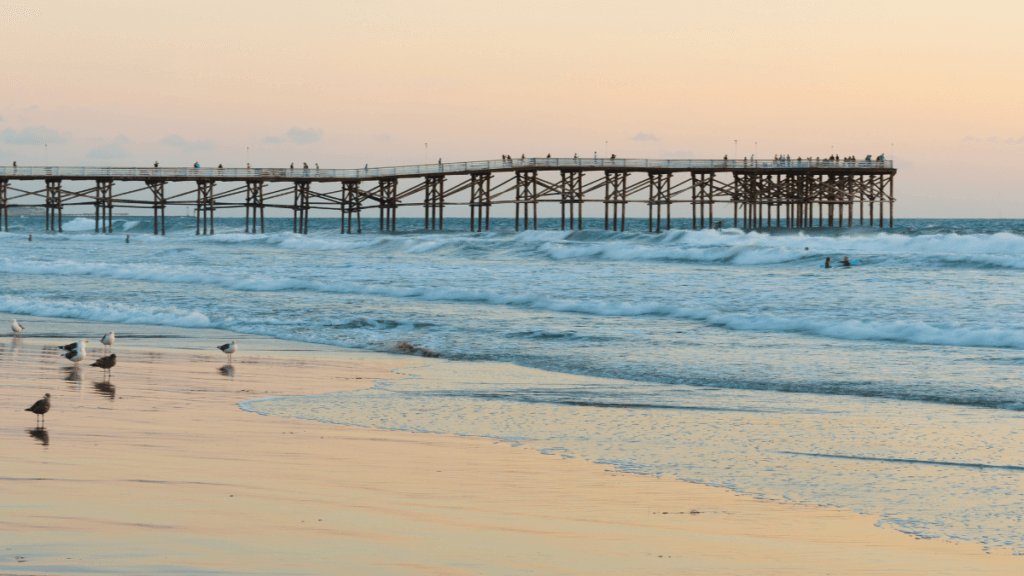 Beach, San Diego _ Hosts Southern California, Hosts Global