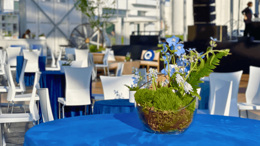 Ready to Create an Eco-Chic Event, Sustainable Centerpiece, Reusable, Terrarium - Hosts Global